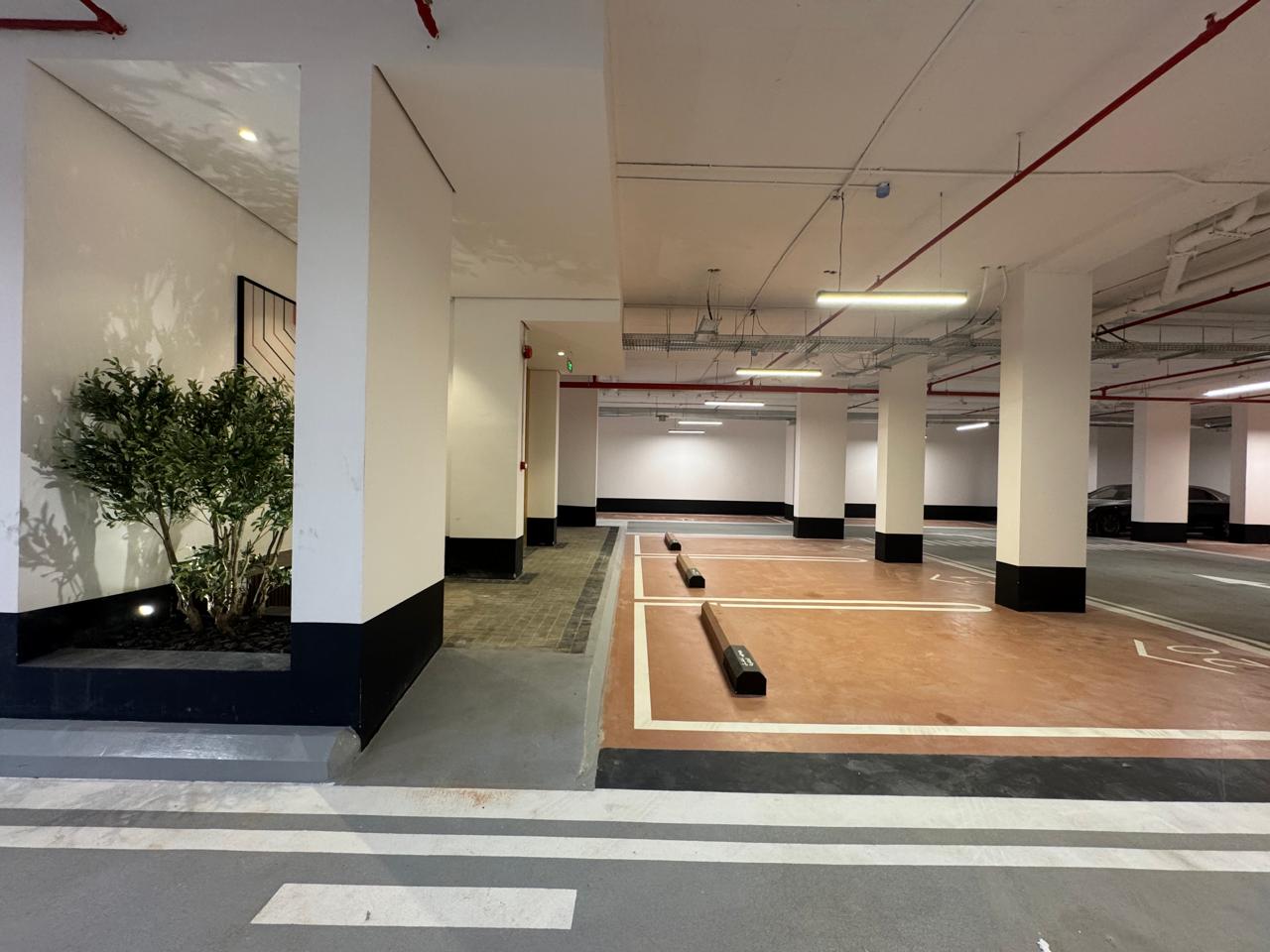 WhatsApp Image 2026-01-03 at 9.27.00 PM